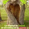 mirta.graciela.ma78