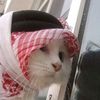 mslmtiktok35