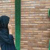 syahmrr31