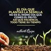 thelmi.ruiz