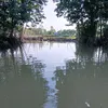 nguyn.vn.b478