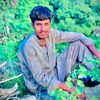 ali.hu.yar873
