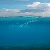 meliaaz06