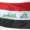 ali_11bv