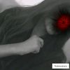 noorulaineewrites90