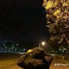 la_starbrontak68