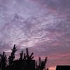 sky.jingga90