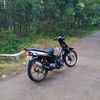 gazzzz31