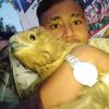 tg.anil