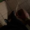 justuzer10852749