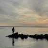 alex.aco08