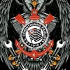 gaviao70