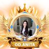 anita_od.team