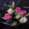 nikusecek_sv1