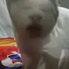 cutehuman020