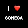 sonecaa_fcc