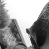 camo.opss