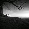 decipticon._0