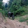 Toke_sawit_aceh