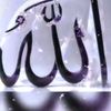 user7204130015824