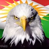 hashar833