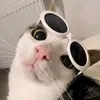 shnek.01
