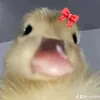 uyyyumq