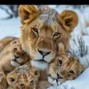 ichracat.nour