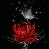 _lecaleoa