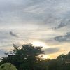 coladelope