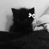 anonimawzf