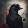 ravenmitchell76