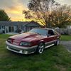 low_btch1