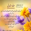 muhammad.meer.sallar67