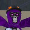 voidvr4735
