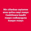 mrcanadi65