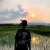loys0435