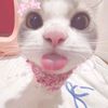 erina_25