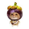 cakcak33330