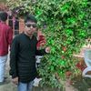 mohidul.islam8145