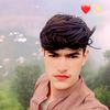 hamid.arman030
