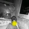 embuhhhhhhh_29