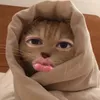 hhk_287