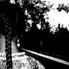olyv_10