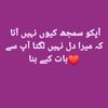 nawabshahmafia1