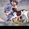 abou.abdoul.whid