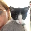 laraslandofcats.ro