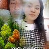 bores4251
