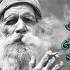 mukhtiar.ahmed690