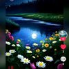 aung58434